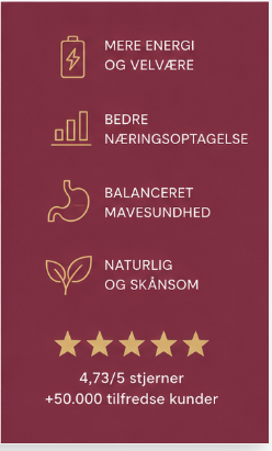 Nordvaya GutHarmony™ |🌿Mindst 50% rabat🌟 | Sig farvel til en urolig mave – og nyd dine måltider igen (mindst 50% rabat)