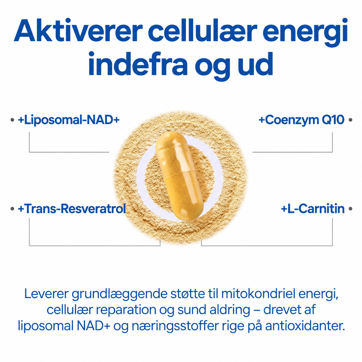 NordVigor™ | ⚡ Find dit yngre jeg igen