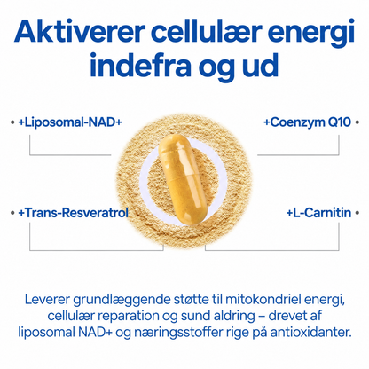 NordVigor™ | ⚡ Find dit yngre jeg igen