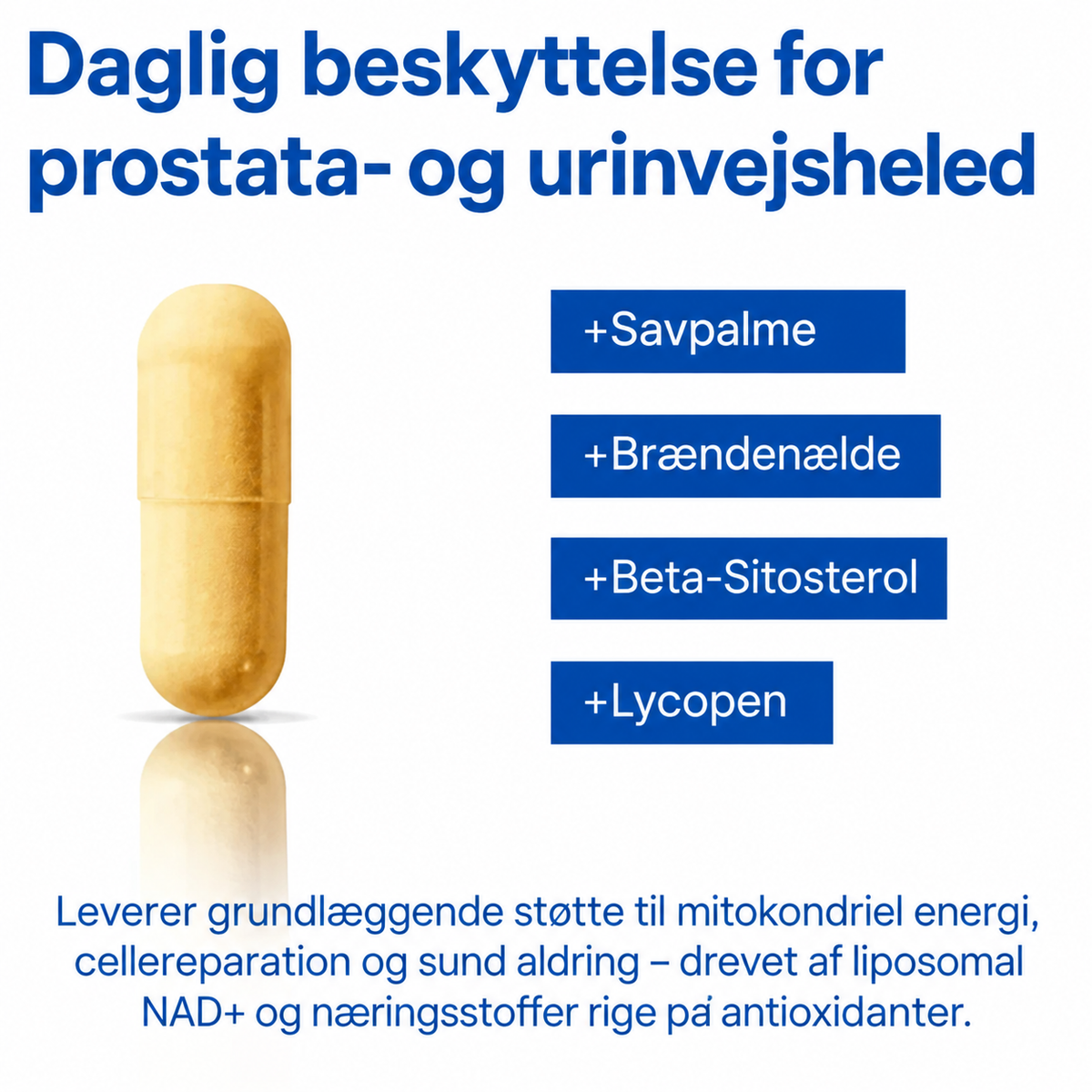 NordVigor™ | ⚡ Find dit yngre jeg igen
