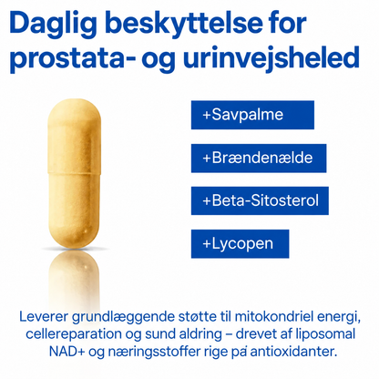 NordVigor™ | ⚡ Find dit yngre jeg igen