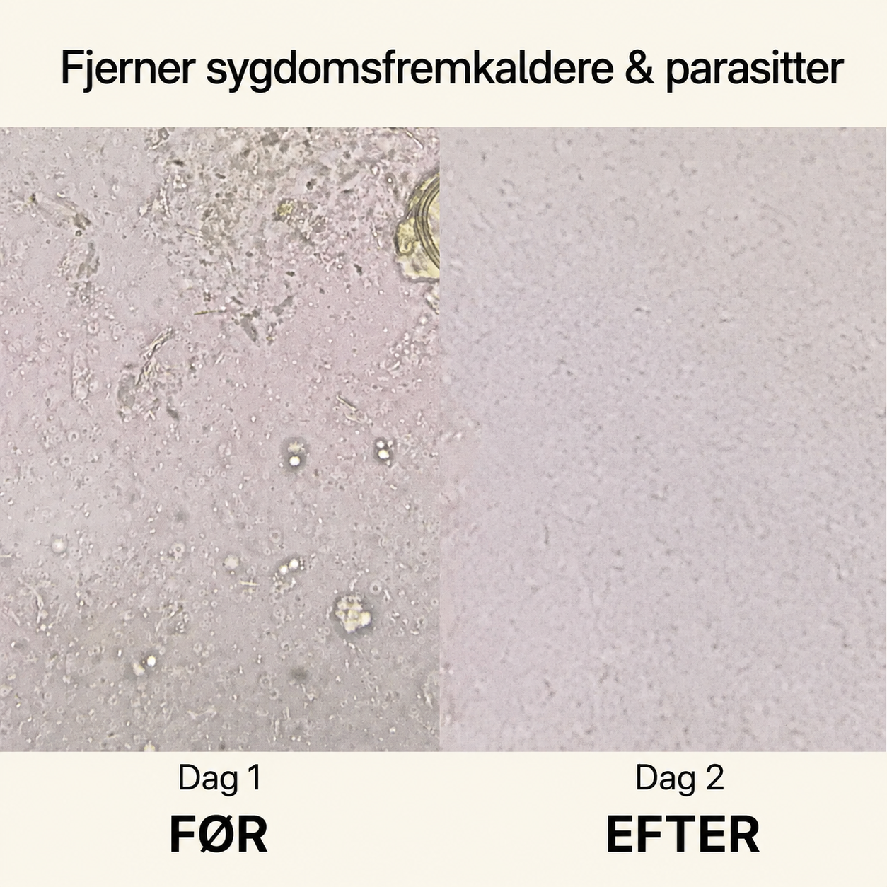 🌿 NordTarm™ | Parasit Balance |🍃 Naturlig støtte til tarmbalance, parasitudrensning og en lettere hverdag