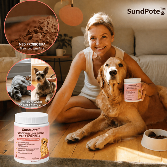SundPote™ | Naturlig daglig støtte til hunde med fedtknuder og et stærkt immunforsvar.