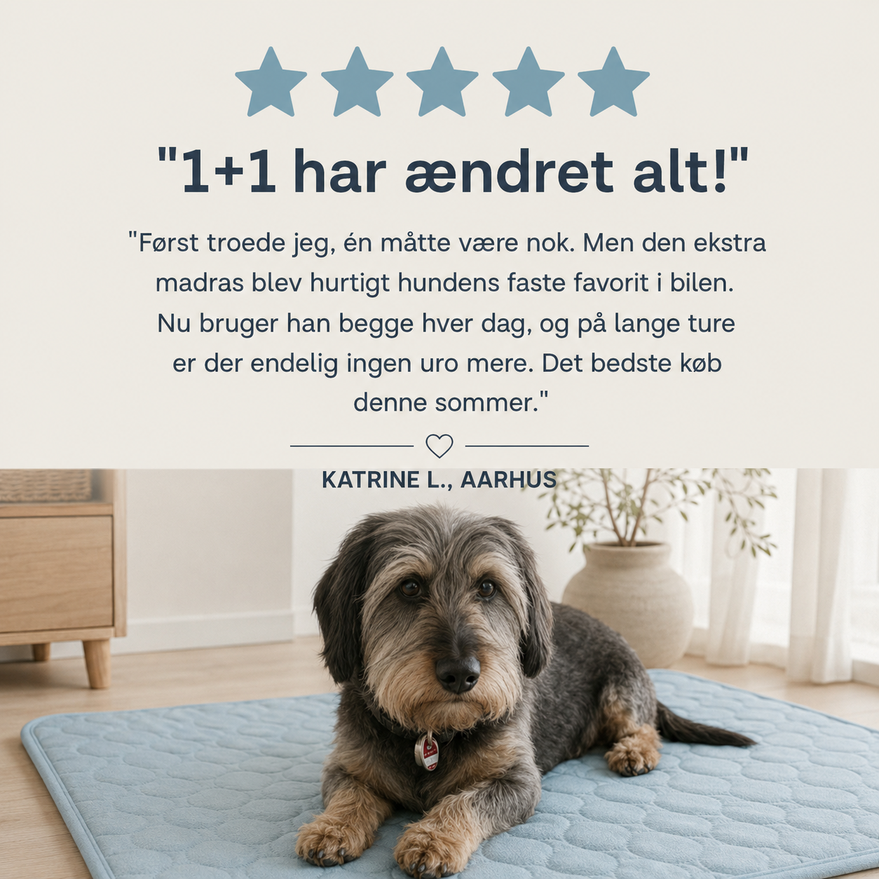 ArcticPaw™ Kølemåtte | Holder din hund eller kat kølig og afslappet – selv på de varmeste sommerdage (Køb 2 – få den 2. med 60% rabat)