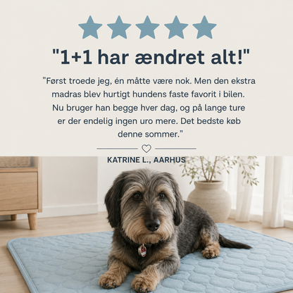 ArcticPaw™ Kølemåtte | Holder din hund eller kat kølig og afslappet – selv på de varmeste sommerdage (Køb 2 – få den 2. med 60% rabat)