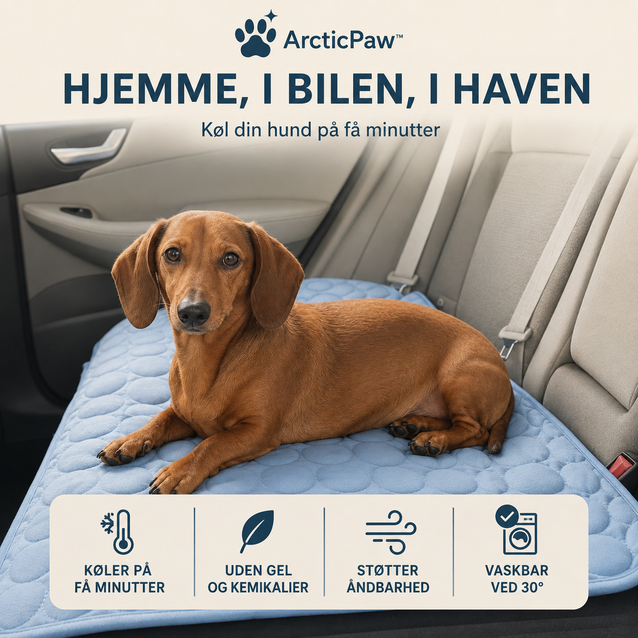 ArcticPaw™ Kølemåtte | Holder din hund eller kat kølig og afslappet – selv på de varmeste sommerdage (Køb 2 – få den 2. med 60% rabat)