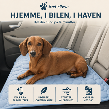 ArcticPaw™ Kølemåtte | Holder din hund eller kat kølig og afslappet – selv på de varmeste sommerdage (Køb 2 – få den 2. med 60% rabat)